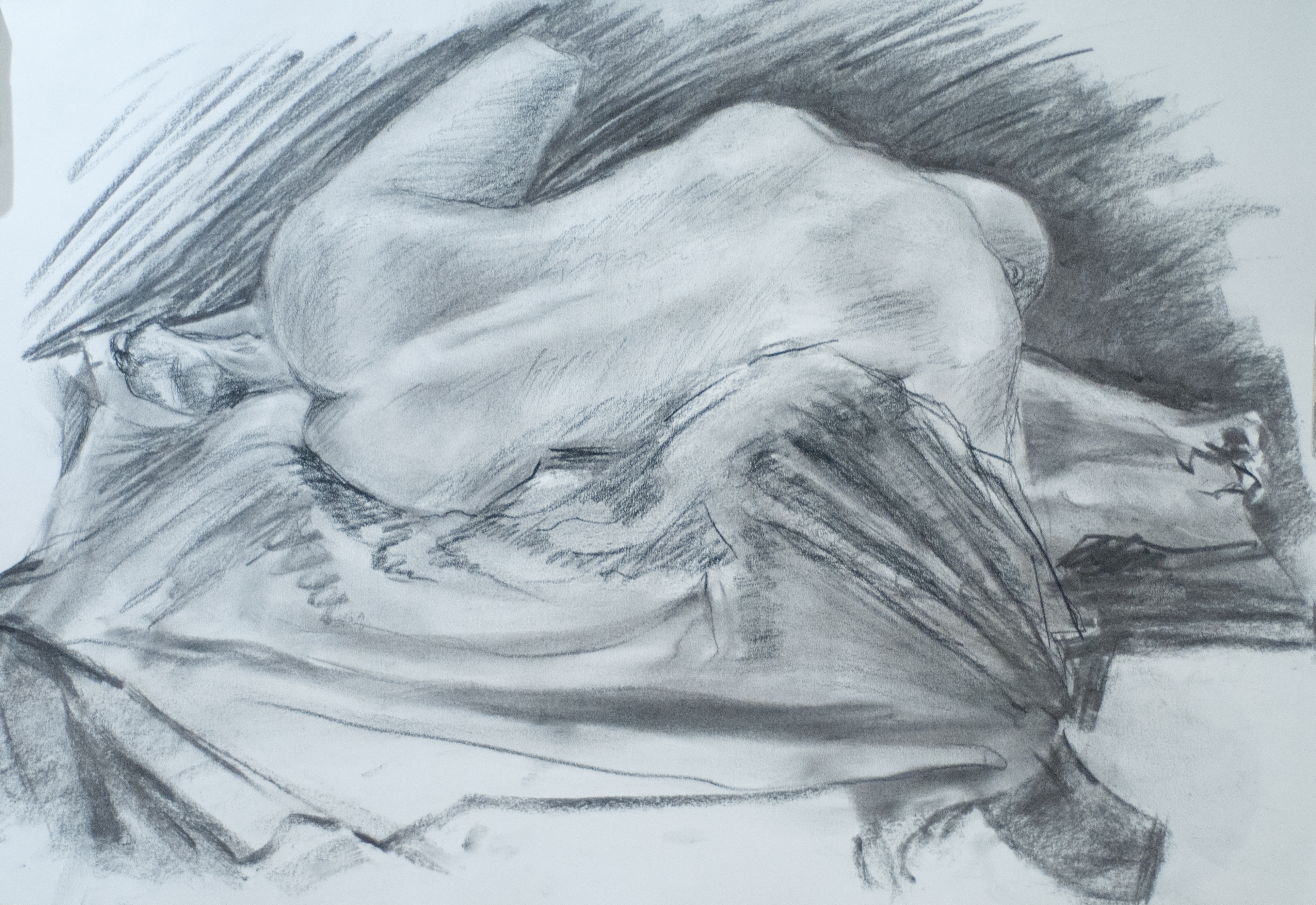Curled Figure, Study in Shadow