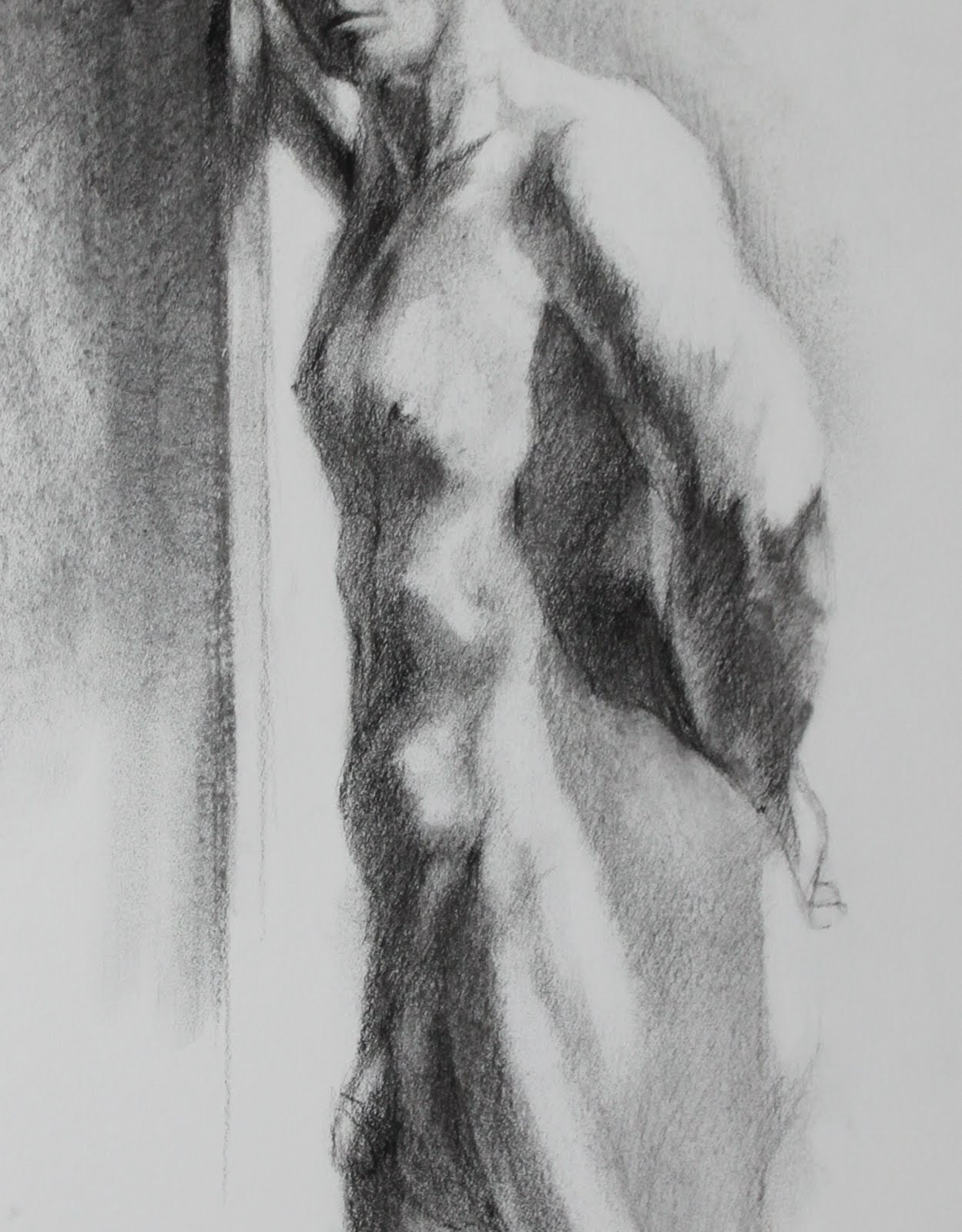 Torso Study