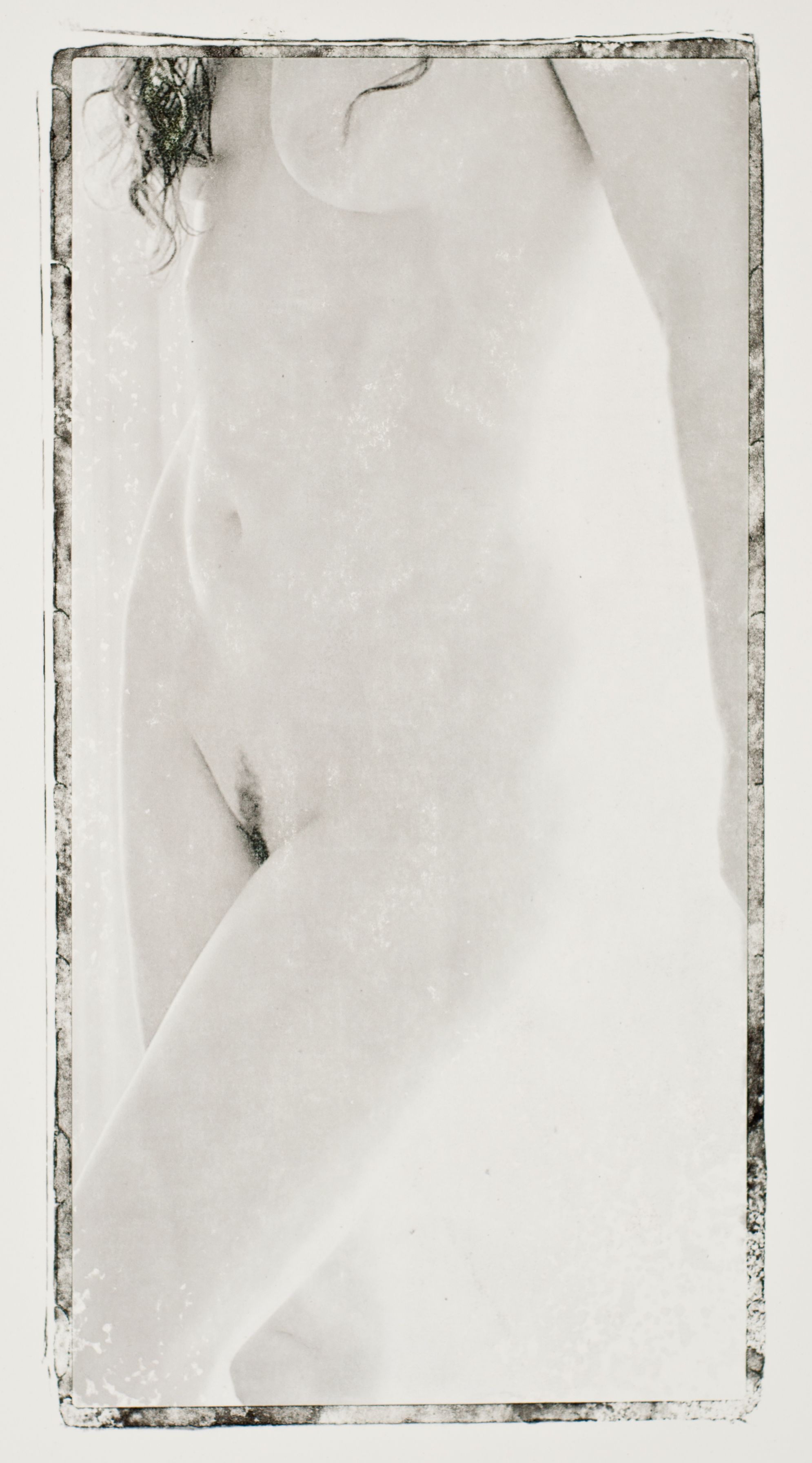 Female Torso Study