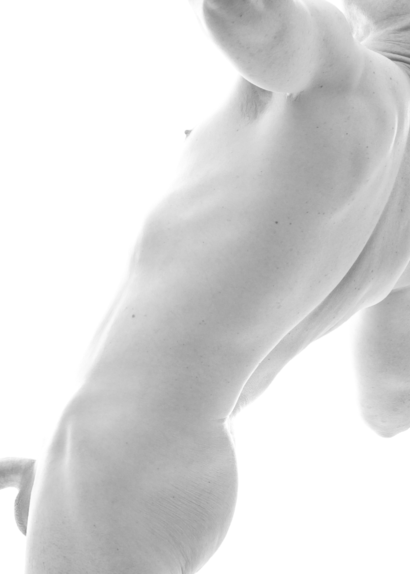 Cropped Figure Study No. 1