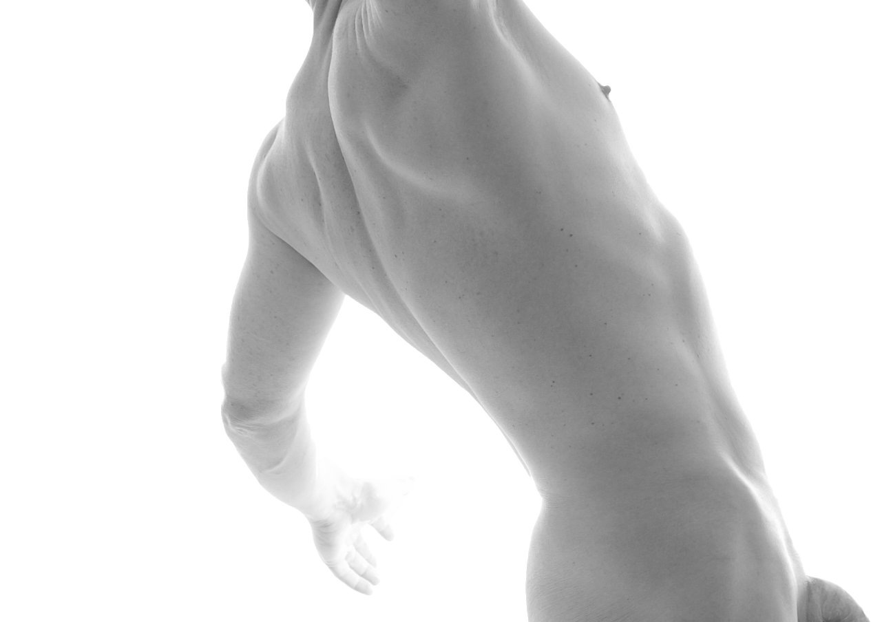 Cropped Figure Study No. 2